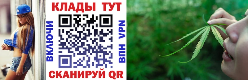 МЕФ Мытищи