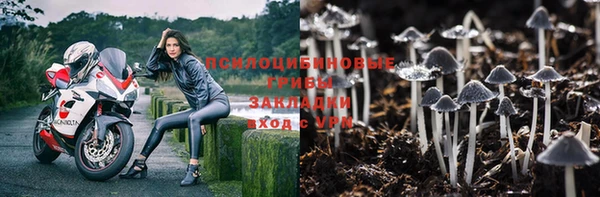 кокаин Белокуриха