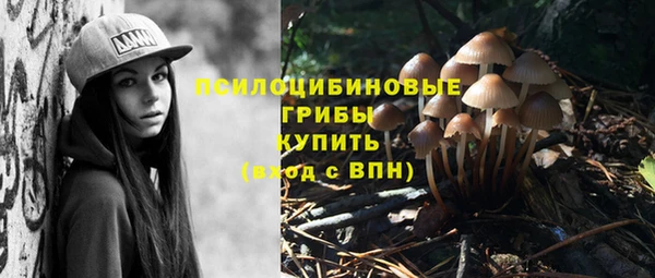 кокаин Белокуриха