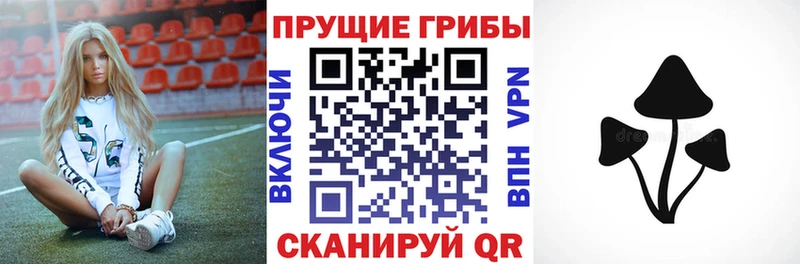 Галлюциногенные грибы мицелий  mega вход  Мытищи 